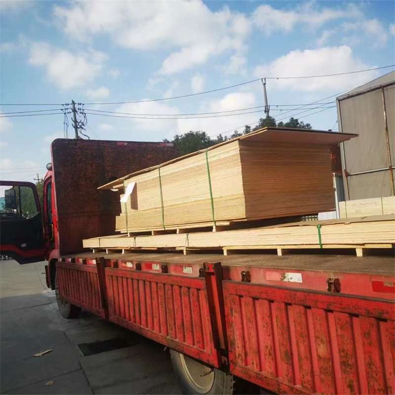 福建漳州漳浦县至塔城货运专线，一站式物流服务助您成功